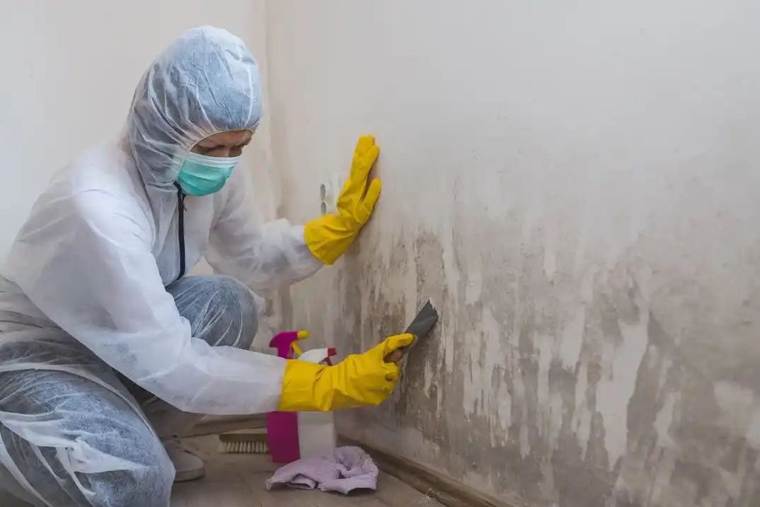 water damage restoration service Oakridge Forest